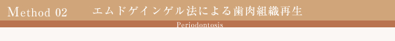 エムドゲインゲル法による歯肉組織再生